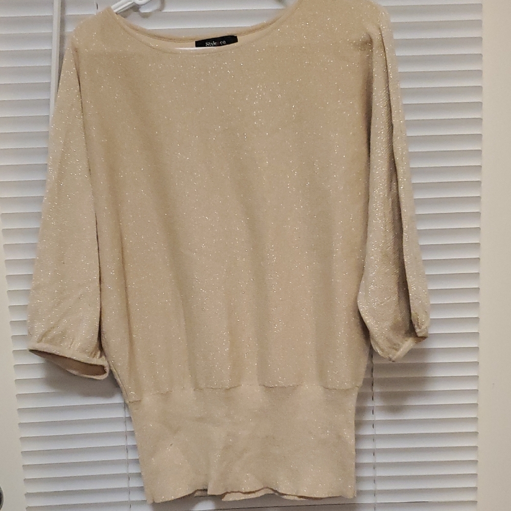 Sparkling Beige Sweater Top
